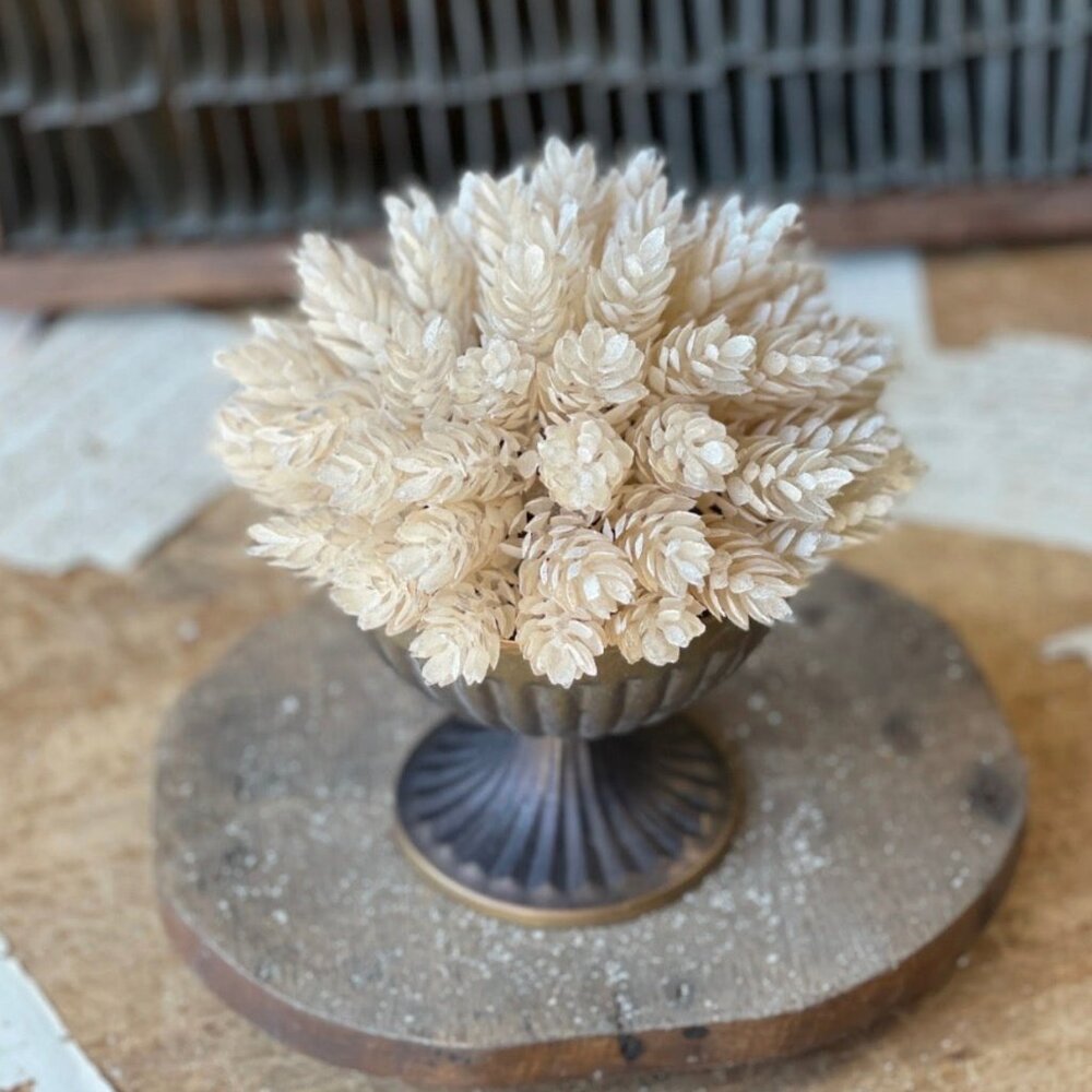 Pearl Hops Half Sphere